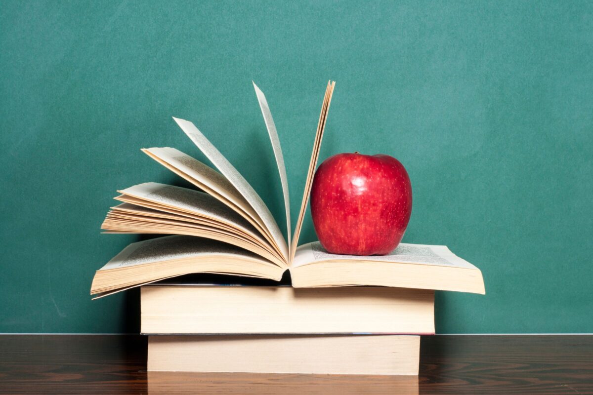 Montessori Mastery: Choosing the Ideal Approach to Education